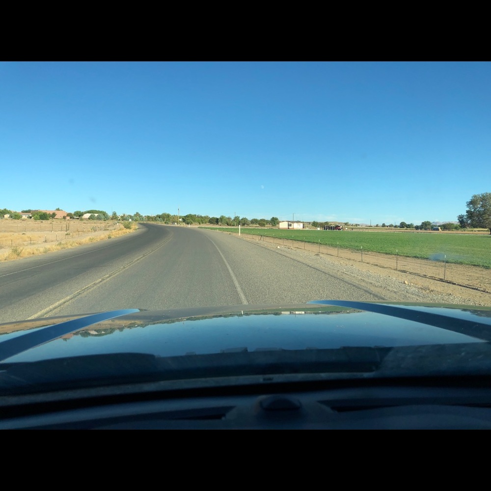 Meet your Posher, Bea